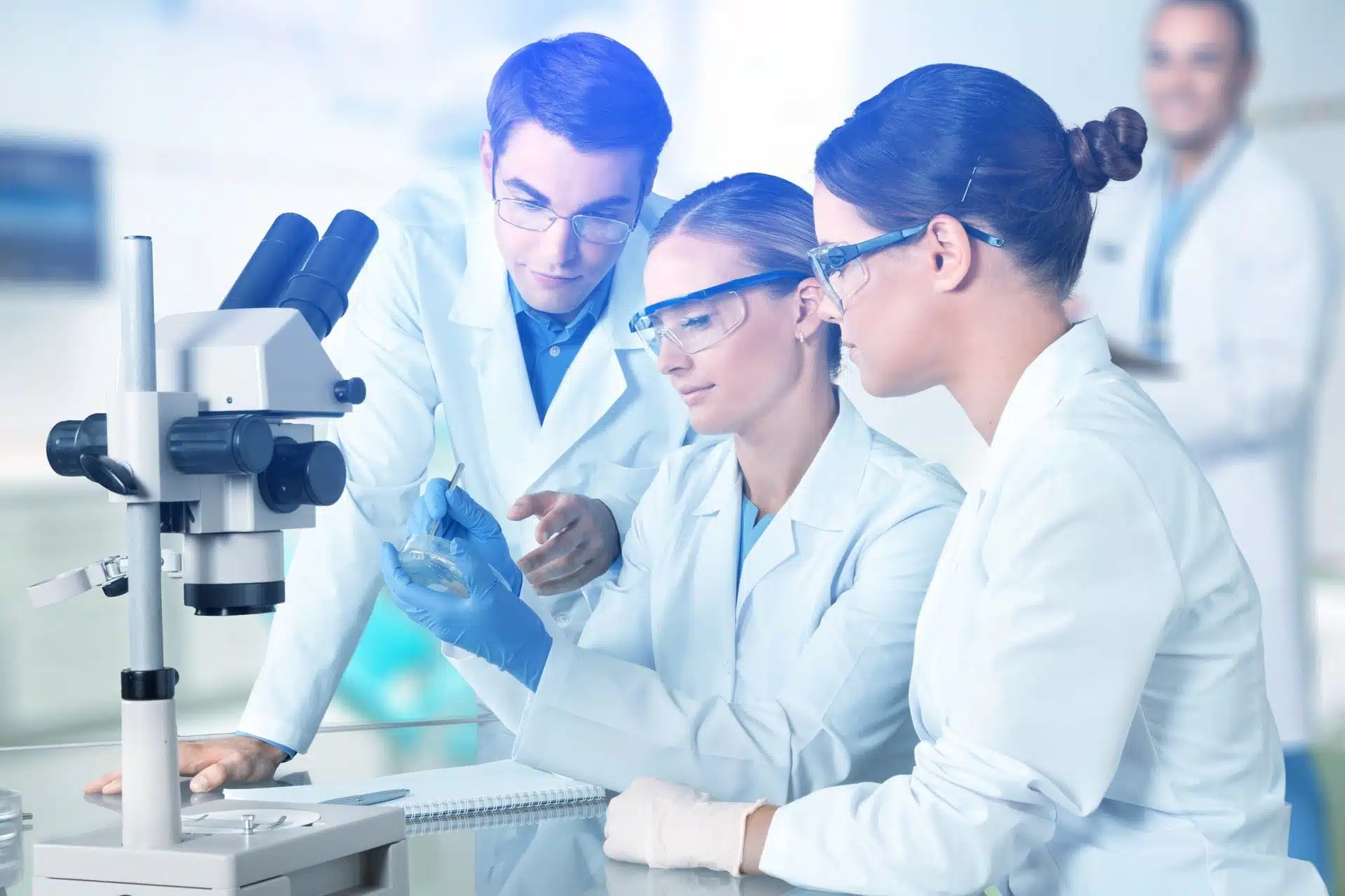 انتخاب بایوساید مناسب با حوزه فعالیت شما