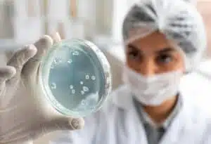 میکروبیولوژی